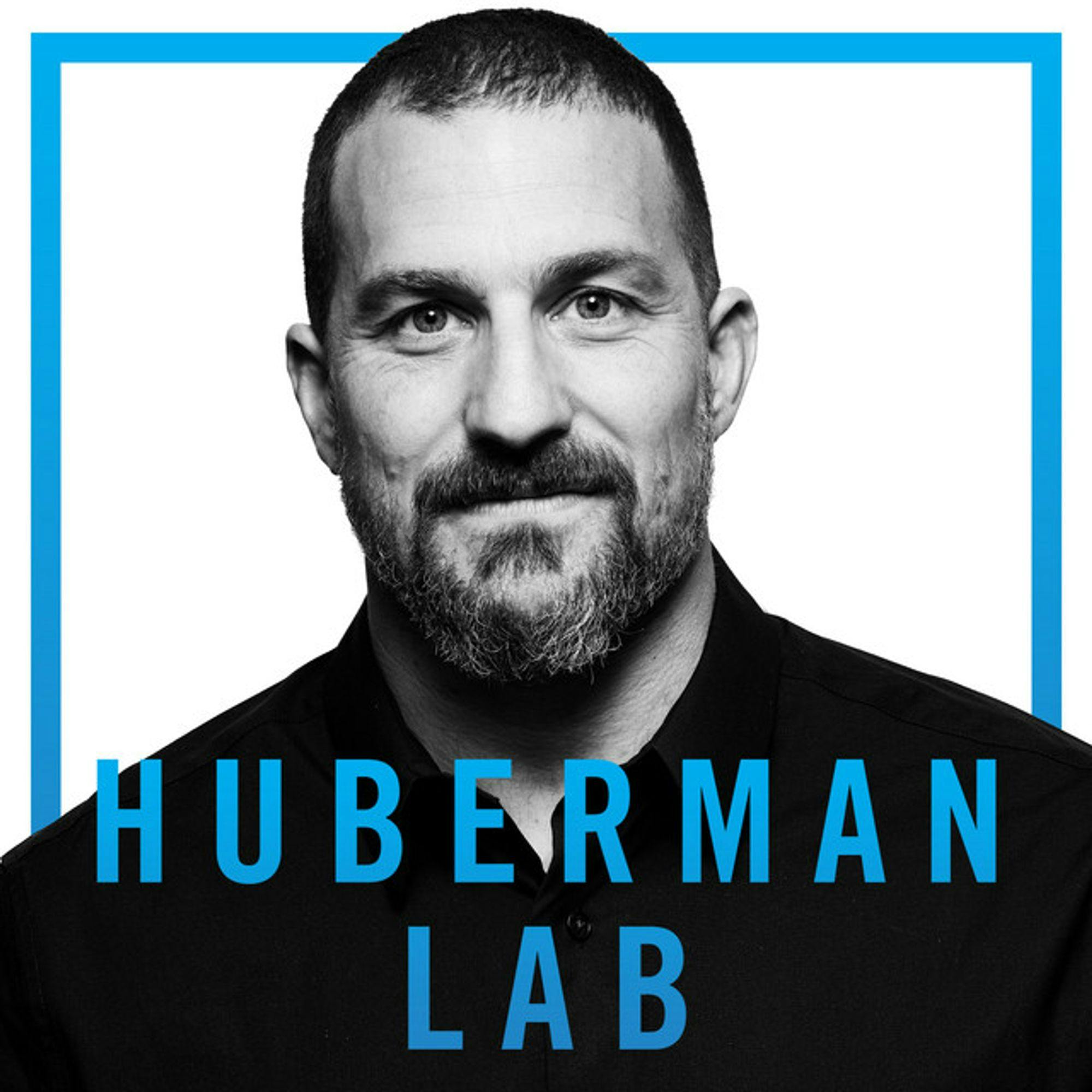 Andrew Huberman Lab